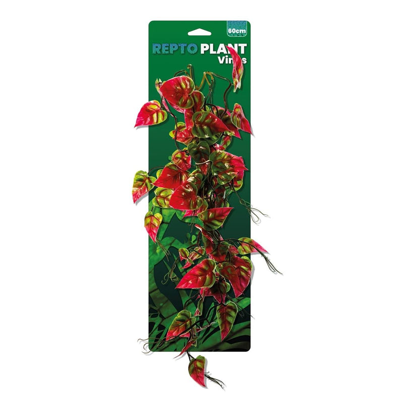 Superfish Reptile Repto Plant Vines Rose/Verte Syngonium 60 cm 8715897365119 R5100665