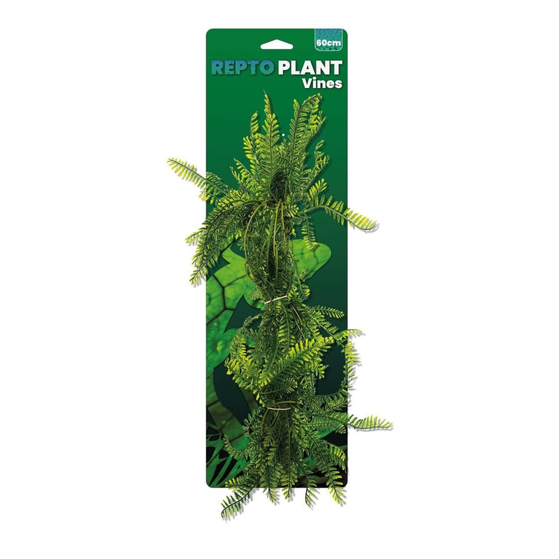 Superfish Reptile Repto Plant Vines Verte Asparagus 60 cm 8715897365133 R5100675