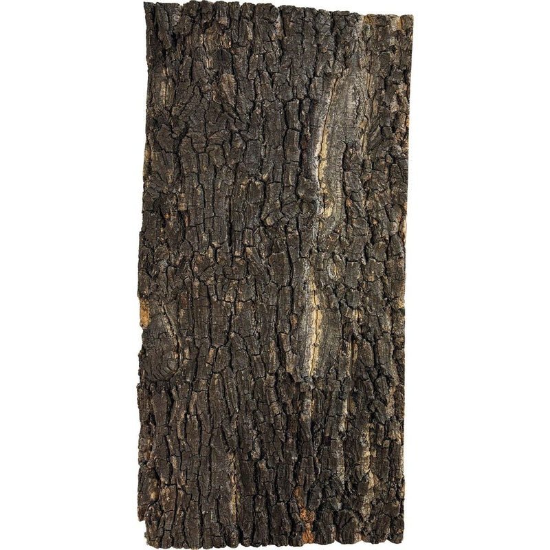 Superfish Reptile Repto Plaque Liège 60 x 30 cm 8715897359576 R5100207