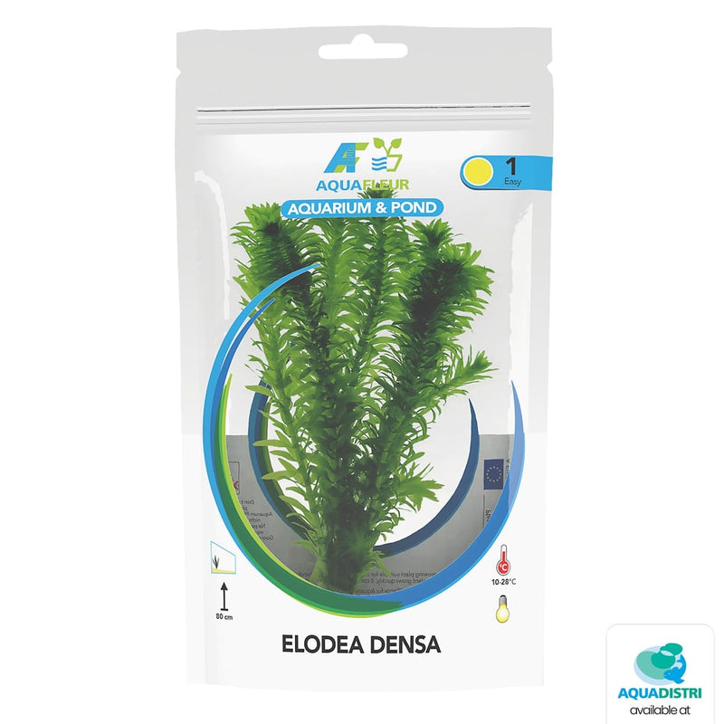 Superfish Plantes Sac Elodea Densa 8715897314766 P2022295
