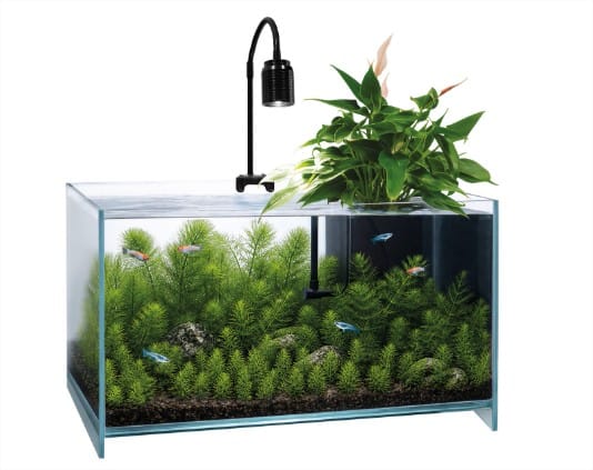 Superfish SF MEDAKA AQUA ONE - Aquarium pour Medakas - Kit Complet 8715897366512 A4052540