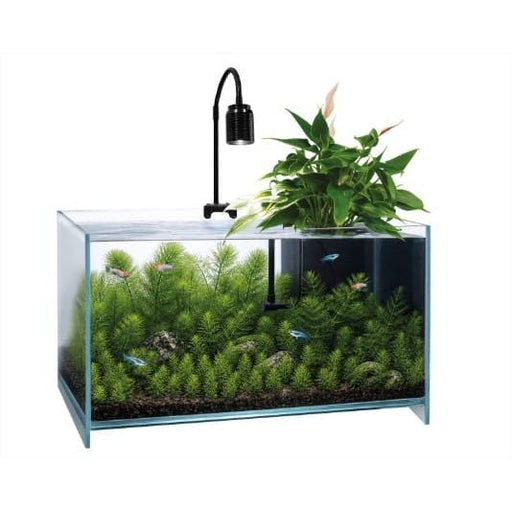Superfish SF MEDAKA AQUA ONE - Aquarium pour Medakas - Kit Complet 8715897366512 A4052540