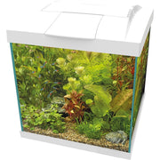 Superfish Aquarium Start 30 Qube Kit Blanc - Superfish 8715897358814 A4052355