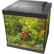 Superfish Aquarium Start 30 Qube Kit Noir - Superfish 8715897358807 A4052350