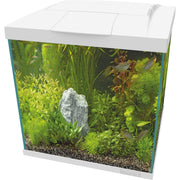 Superfish Aquarium Start 60 Qube Kit Blanc - Superfish 8715897358838 A4052365
