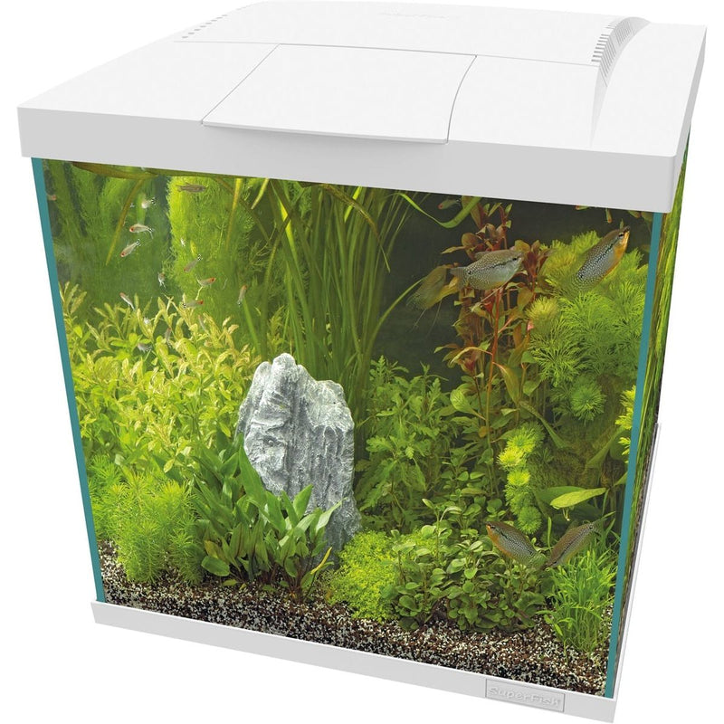 Superfish Aquarium Start 60 Qube Kit Blanc - Superfish 8715897358838 A4052365