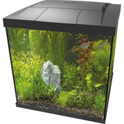 Superfish Aquarium Start 60 Qube Kit Noir - Superfish 8715897358821 A4052360