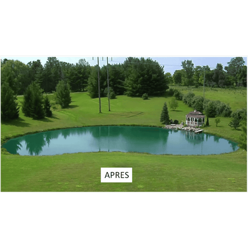 Taso Colorants pour étang Bleu Marine – Colorant biologique pour étangs, lacs & bassins