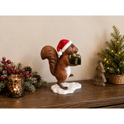 Écureuil avec bonnet de Noël et cadeau — AL2919AL-IM