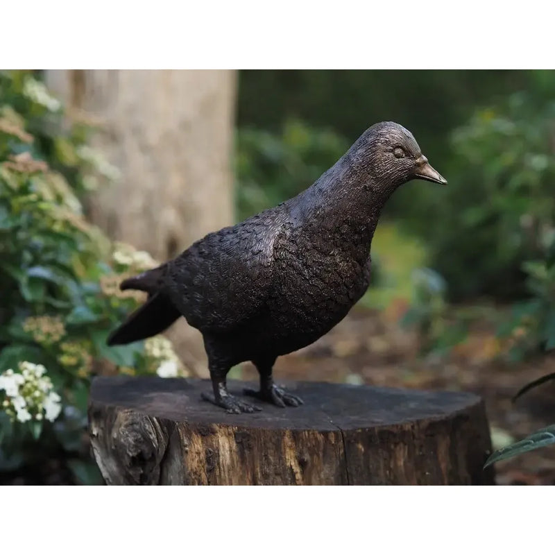 Colombe — AN1288BR-B-1