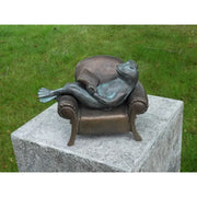 Grenouille Lisant Dans Fauteuil — AN1715BRW-V