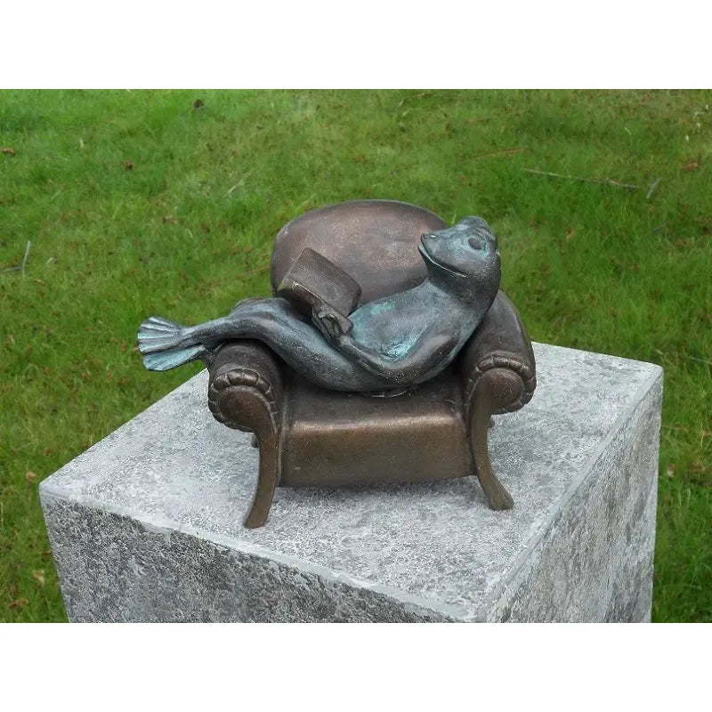 Grenouille Lisant Dans Fauteuil — AN1715BRW-V