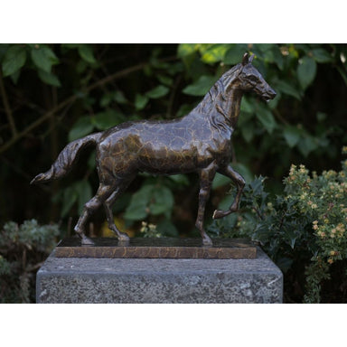 Cheval Sur Base Rectangulaire — AN2563BRW-HP