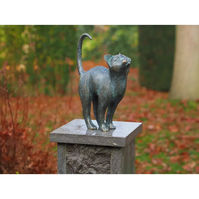 Chat — AN2677BR-VI