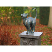 Chat — AN2677BR-VI