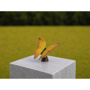 Papillon jaune urne — AN2729BRW-HP
