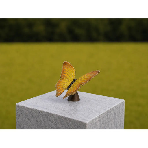 Papillon jaune urne — AN2729BRW-HP