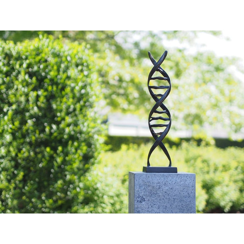 Sculpture ADN — AN2734BRW-BI