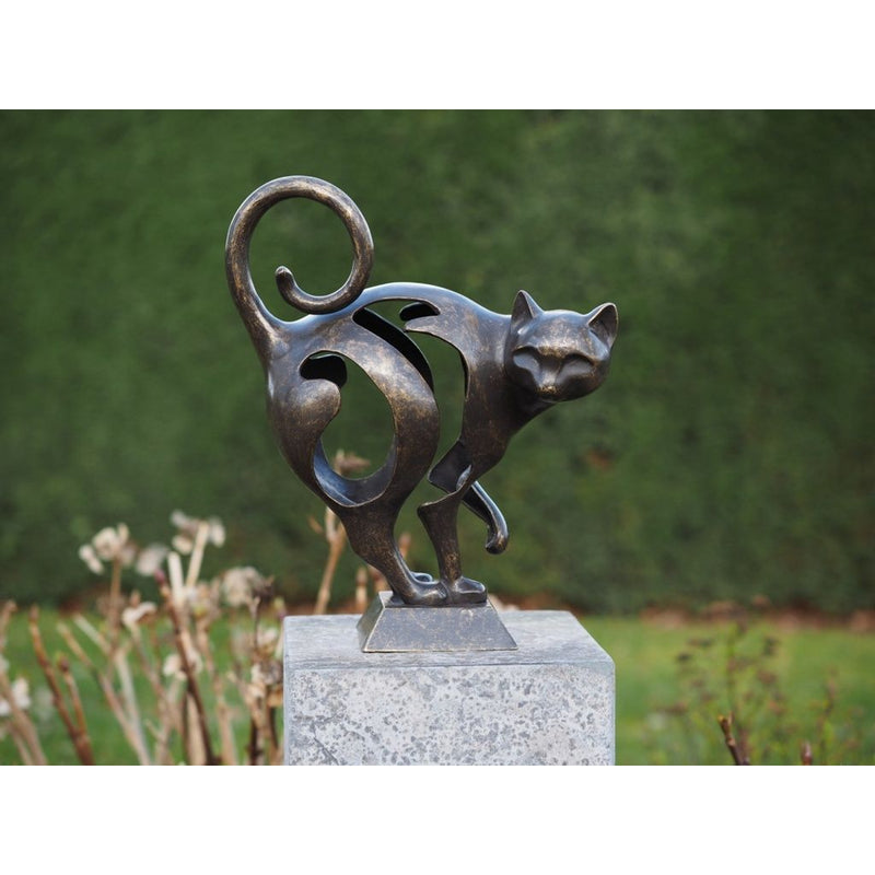 Chat — AN2934BR-BI