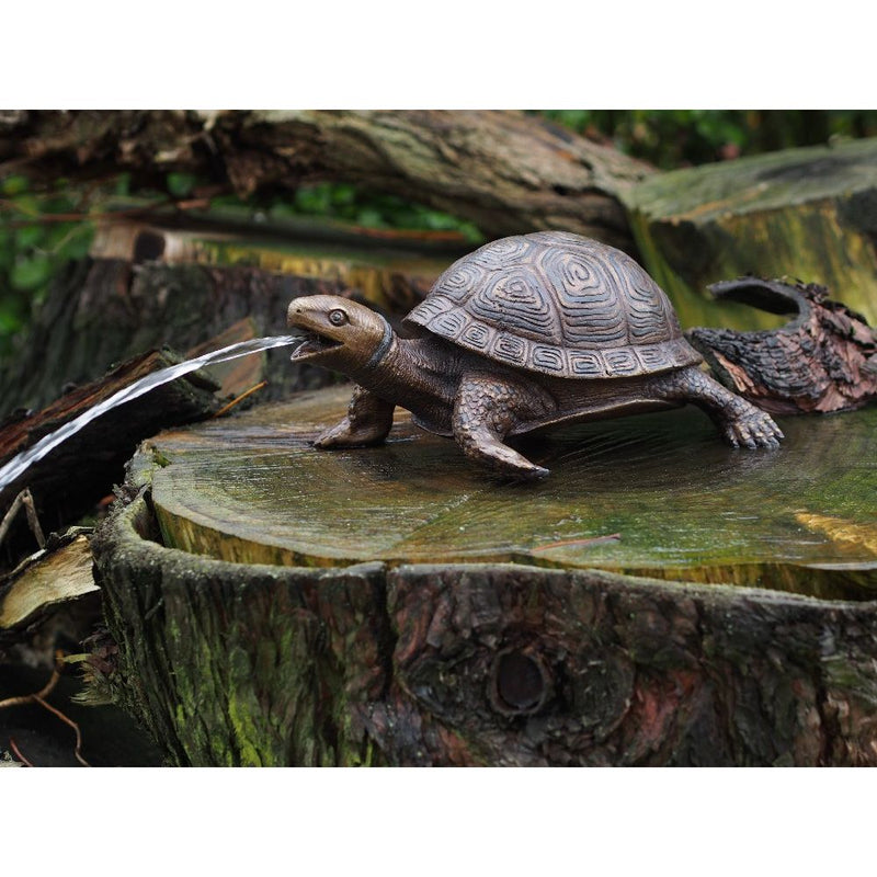 Tortue — AN3392BR-B-F