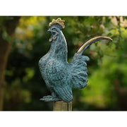 Coq — AN5360V