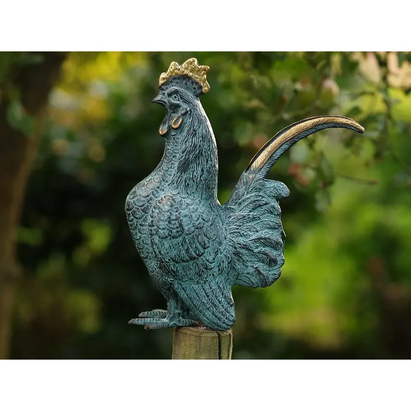 Coq — AN5360V