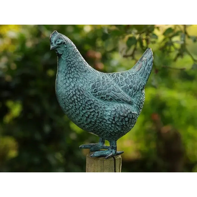 Poule 23cm — AN5418V