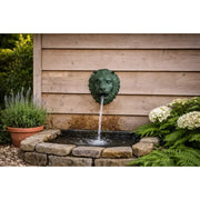 Tète De Lion Fontaine — B1087