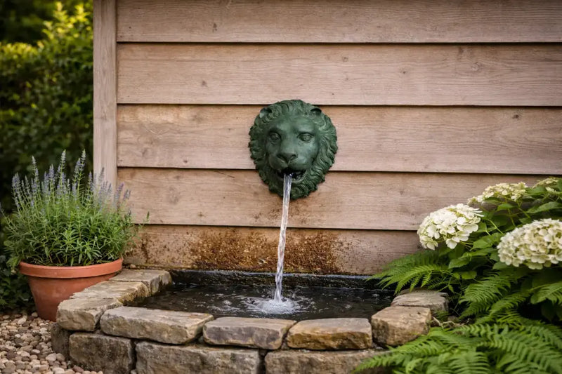 Tète De Lion Fontaine — B1087