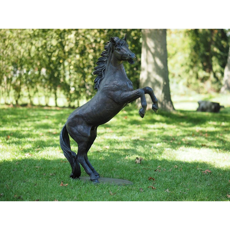 Cheval Cabrant 1.02 M — B1096