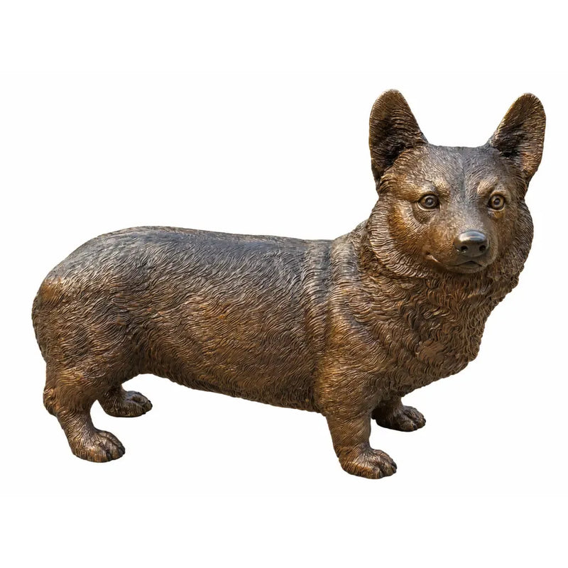 Corgi Debout — B1103