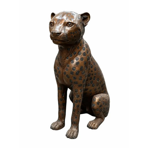 Cheetah Assise — B1138