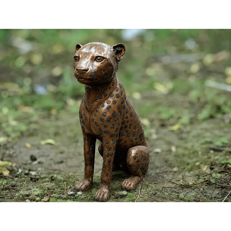 Cheetah Assise — B1138