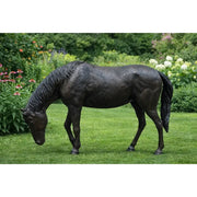 Cheval avec la tête baissée — B1155R