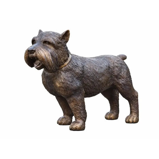 Chien Terrier — B1176