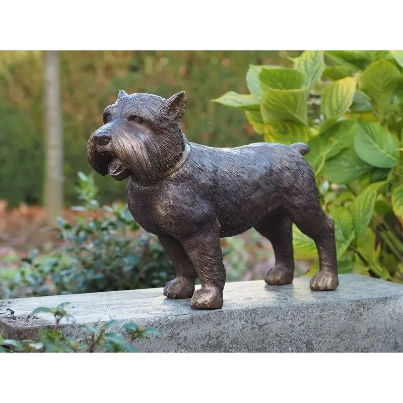 Chien Terrier — B1176