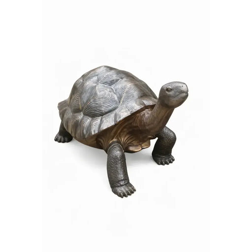 Tortue Géante — B1242