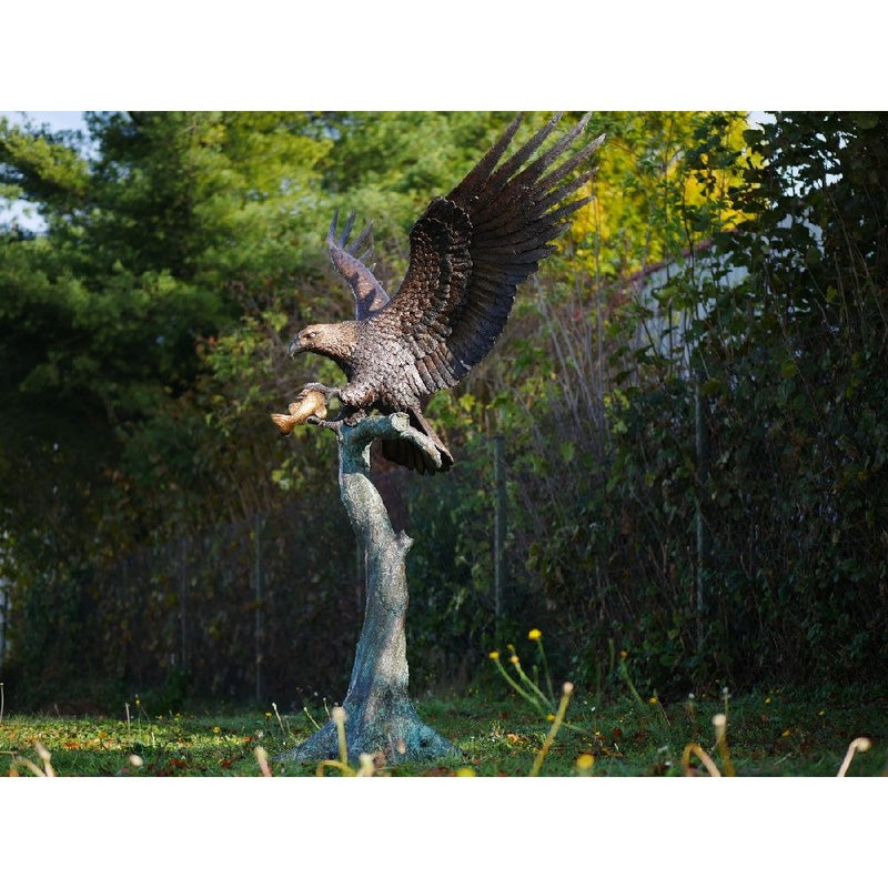 Aigle Sur Tronc D'Arbre — B1243