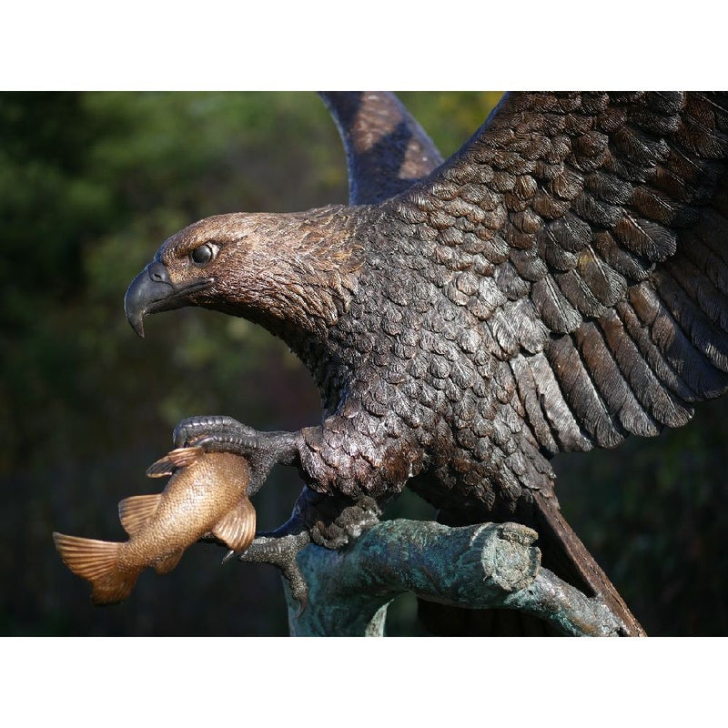 Aigle Sur Tronc D'Arbre — B1243