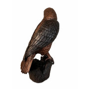 Faucon sur une souche — B1290