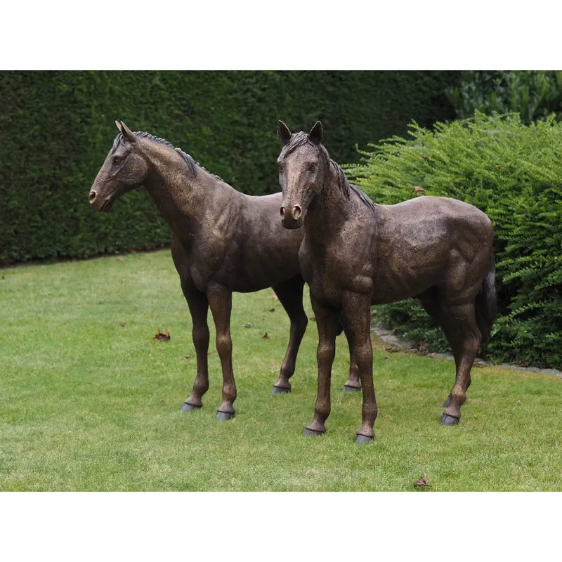 Couple De Chevaux — B1309