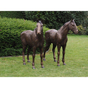 Couple De Chevaux — B1309