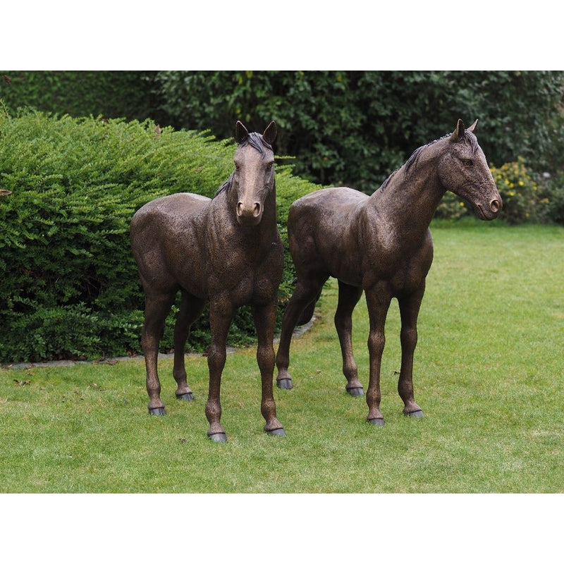 Couple De Chevaux — B1309