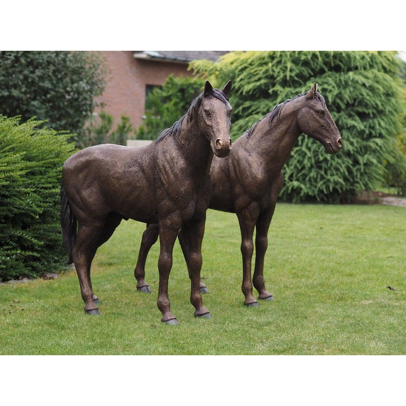 Couple De Chevaux — B1309