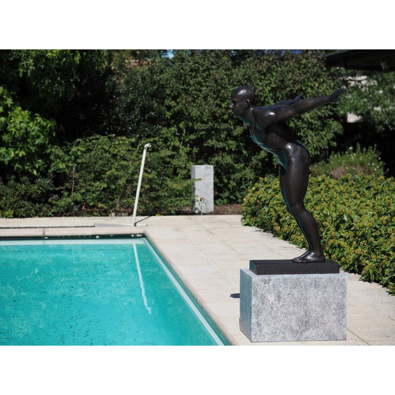 Plongeur David — B1367