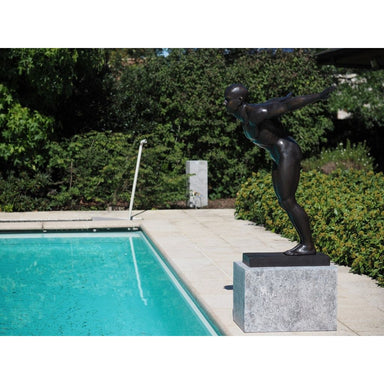 Plongeur David — B1367