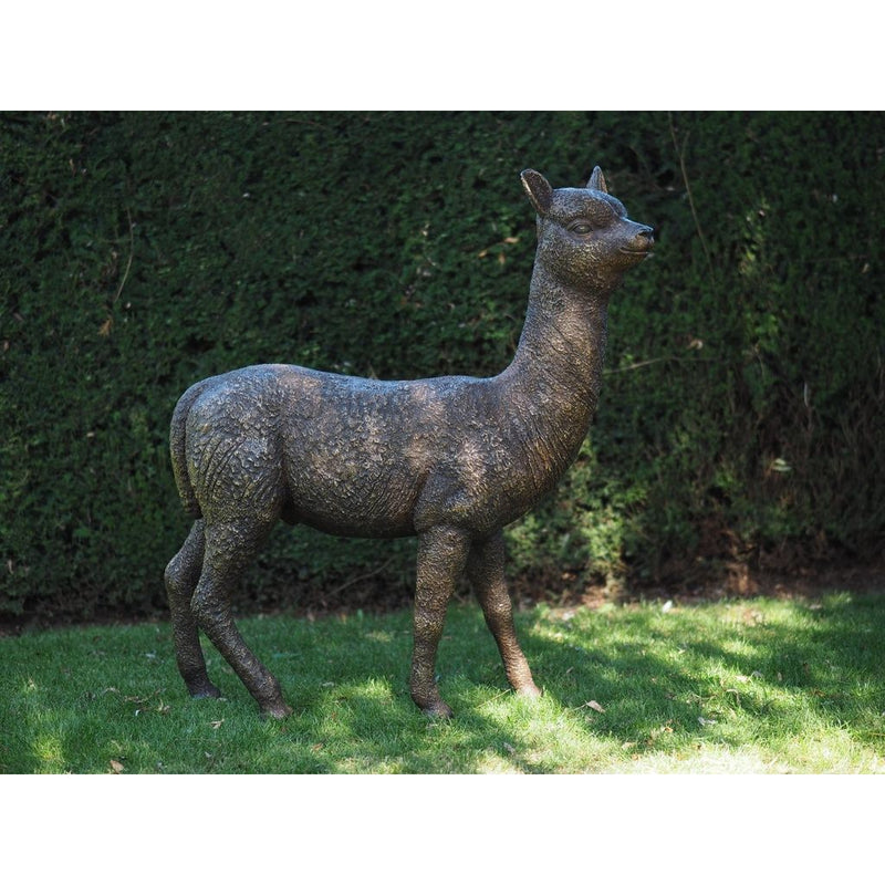 Alpaca — B1384