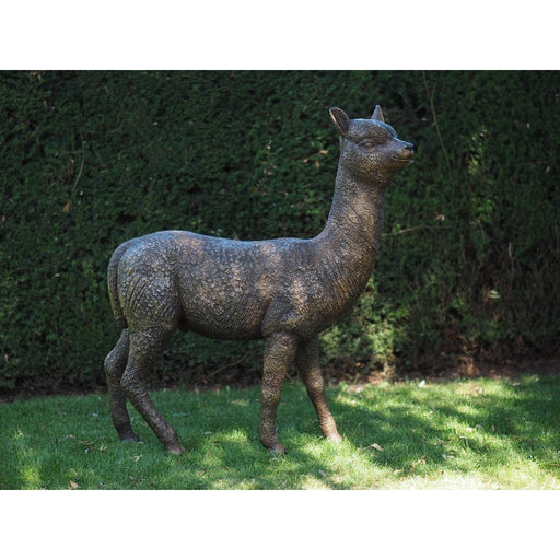 Alpaca — B1384