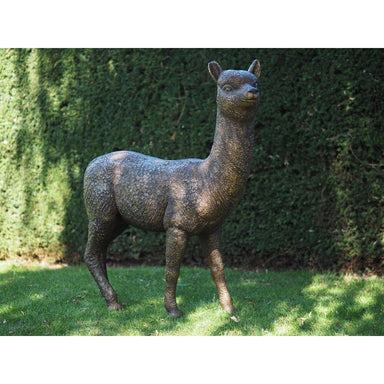 Alpaca — B1384