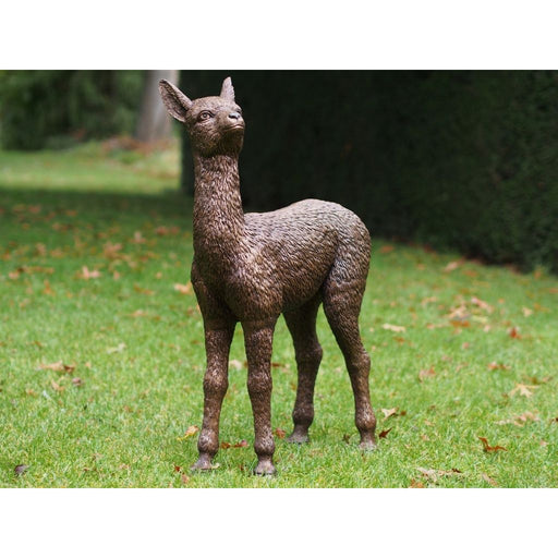 Bébé Alpaca — B1413
